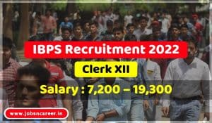 IBPS Recruitment 20224